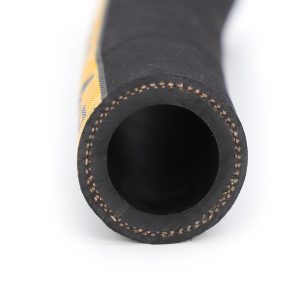 Picture 3.7.4.0 - 20